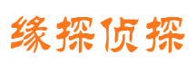 桑日市侦探调查公司